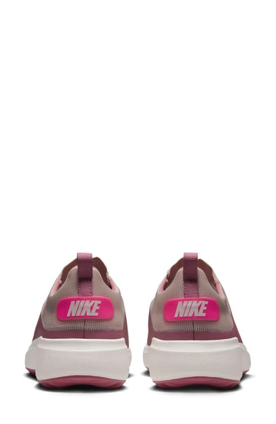 Shop Nike Ace Summerlite Golf Shoe In Berry/ Oxford/ Sail/ Pink
