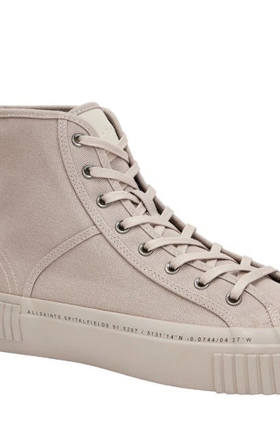 Shop Allsaints Douglas High Top Sneaker In Stone