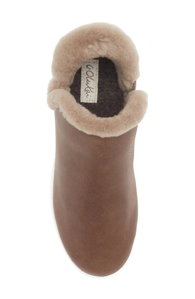 Olukai Malua Hulu Genuine Shearling Slip-on Sneaker In Warn Taupe/ Off White