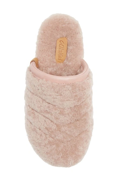Shop Olukai Pupu Mua Genuine Shearling Scuff Slipper In Pink Sea Salt/ Pink Sea Salt