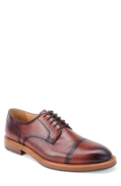 Shop Warfield & Grand Strauss Derby In Chestnut