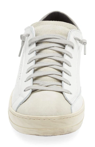 Shop P448 John Sneaker In White