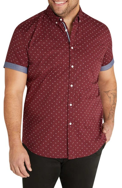 Shop Johnny Bigg Benson Arrow Print Stretch Short Sleeve Button-down Shirt In Burgundy