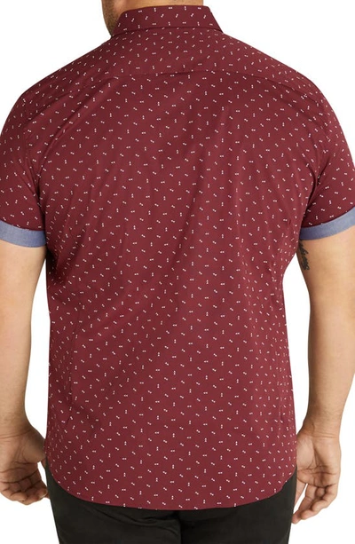 Shop Johnny Bigg Benson Arrow Print Stretch Short Sleeve Button-down Shirt In Burgundy