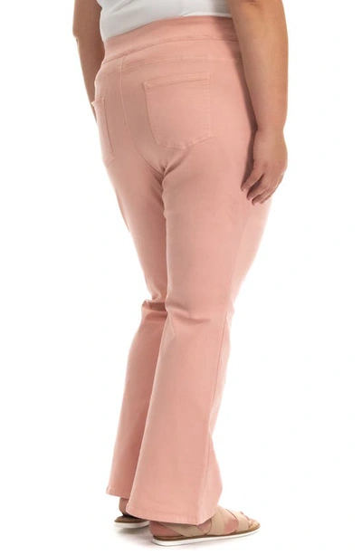 Shop Nina Leonard Flare Straight Leg Pull-on Pants In Blush