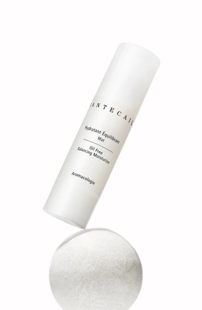 Shop Chantecaille Oil-free Balancing Moisturizer In Rose