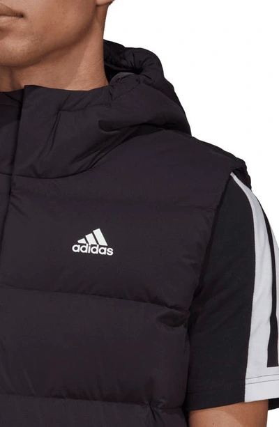 Shop Adidas Originals Helionic 600 Fill Power Down Vest In Black