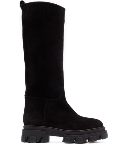 Shop Gia Borghini Knee Boots In Black