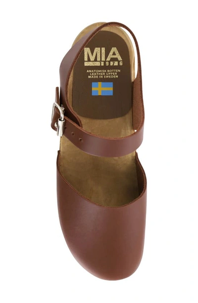 Mia Sofia Clog Sandal In Brown