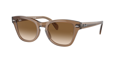 Shop Ray Ban Ray In Braun