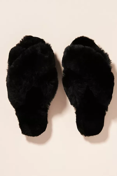 Shop Emu Mayberry Slippers In Black