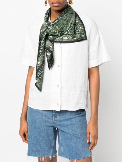 Marlies Dekkers Rhapsody Leopard-print Scarf In Black