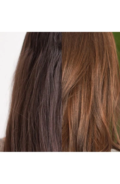 Shop Phyto Color Permanent Hair Color In 4 Brown