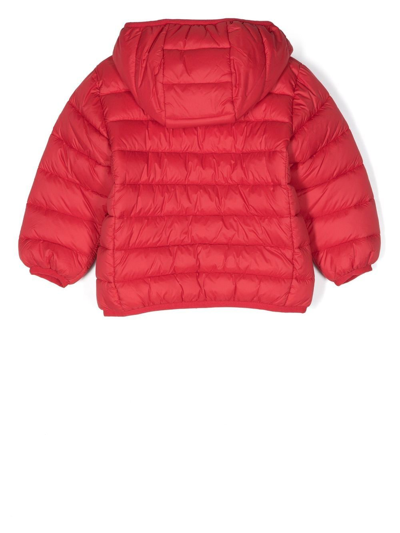 Shop Save The Duck Hooded Padded Jacket In Red
