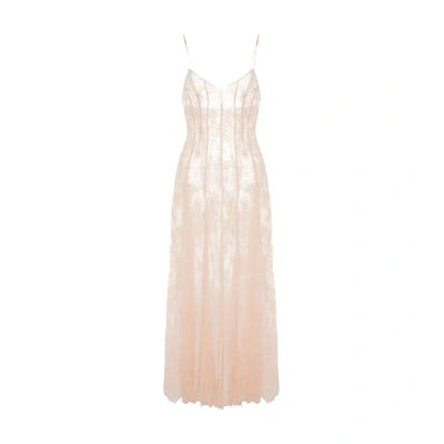 Shop Philosophy Di Lorenzo Serafini Lace Slip Dress In Rosa