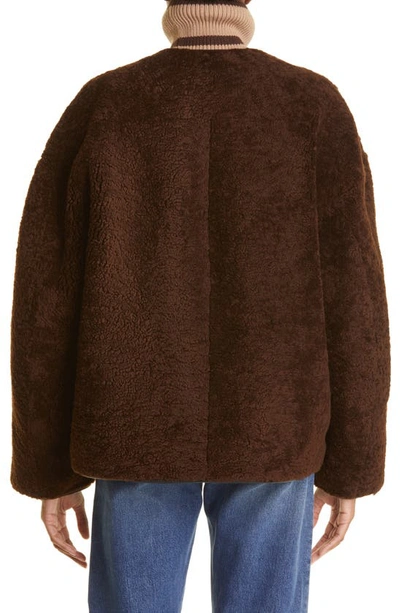 Shop Totême Teddy Genuine Shearling Jacket In Saddle Brown