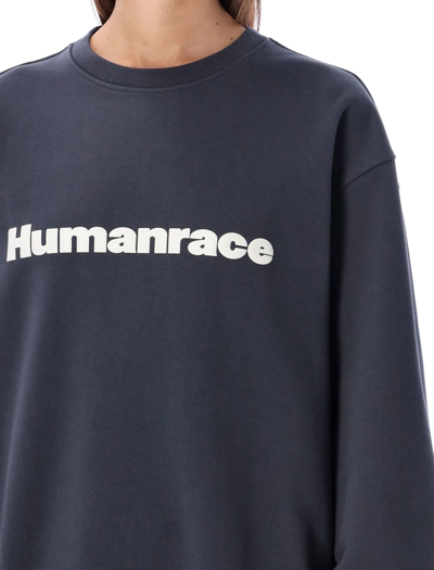 Shop Adidas Originals Pharrell Williams Basic Crew Sweatshirt In Black