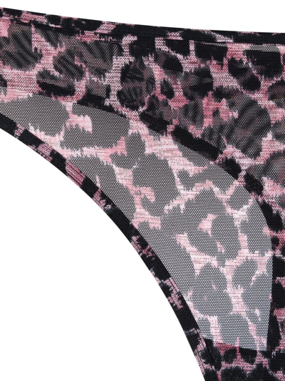 Shop Marlies Dekkers Leopard Print Sheer Thong In Black