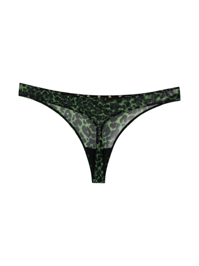 Shop Marlies Dekkers Rhapsody Leopard Print Thong In Green