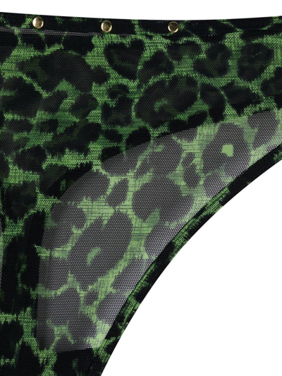Shop Marlies Dekkers Rhapsody Leopard Print Thong In Green