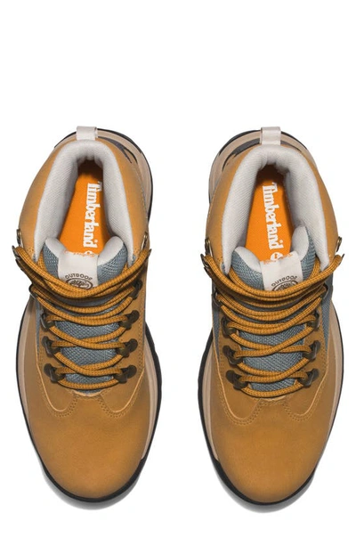 Shop Timberland Chocorua Gore-tex® Waterproof Mid Hiking Boot In Wheat
