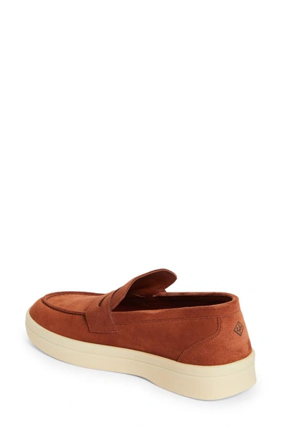Shop Loro Piana Ultimate Penny Loafer In Rust