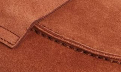 Shop Loro Piana Ultimate Penny Loafer In Rust