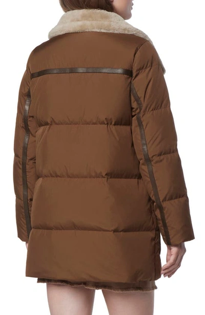 Andrew Marc Dutton Genuine Shearling Trim Down & Feather Fill Puffer Parka In Sepia