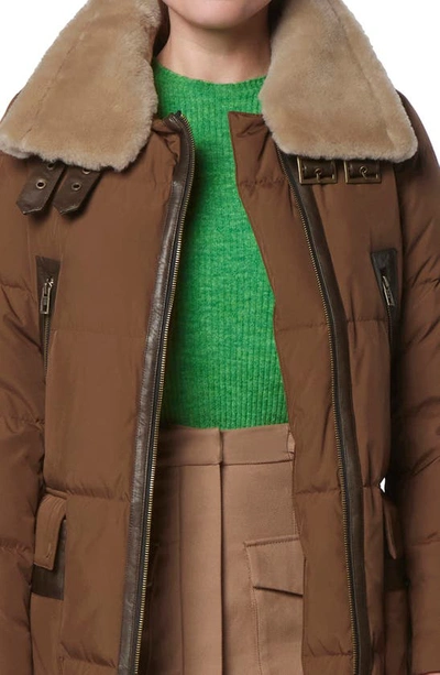 Shop Andrew Marc Dutton Genuine Shearling Trim Down & Feather Fill Puffer Parka In Sepia