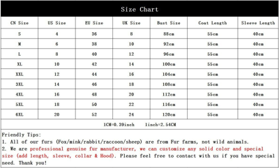Pre-owned Bf Women 100% Real Rex Rabbit Fur Coat Green Chinchilla Warm Short Jacket Overcoat