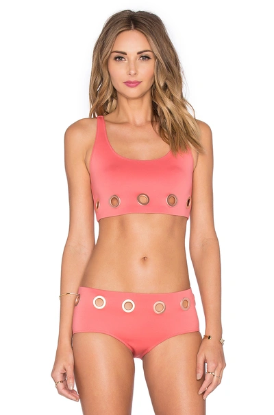 Clover Canyon Bikini Top In Pink