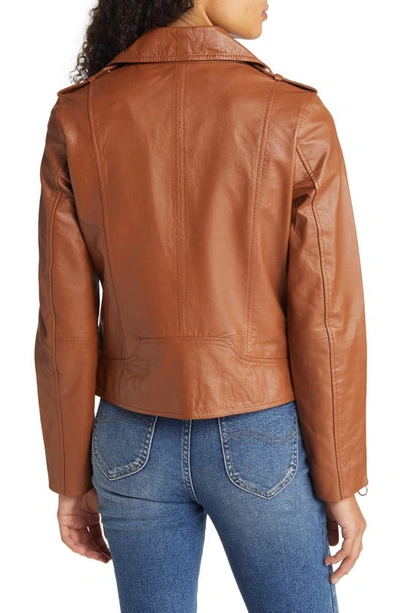 Sam Edelman Leather Moto Jacket In Cognac