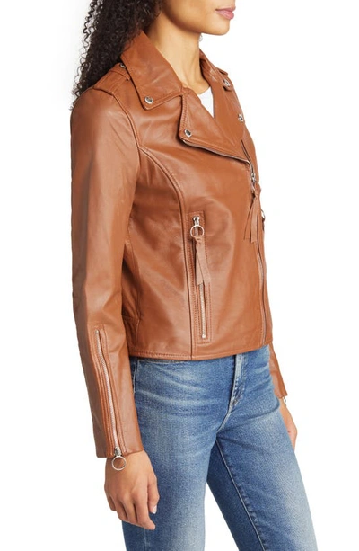 Sam Edelman Leather Moto Jacket In Cognac
