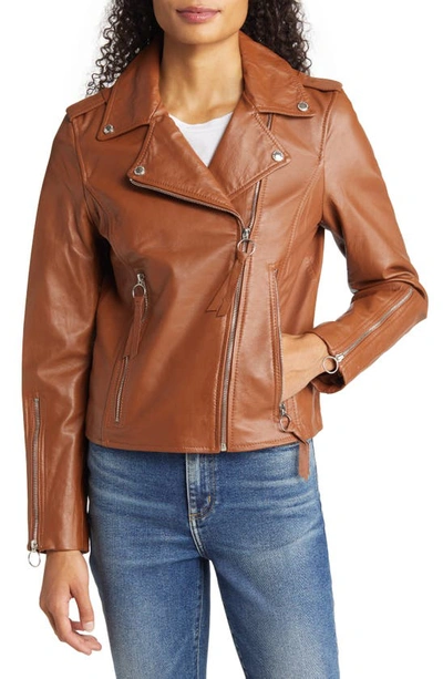 Sam Edelman Leather Moto Jacket In Cognac