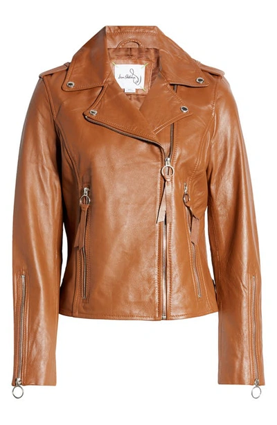 Sam Edelman Leather Moto Jacket In Cognac