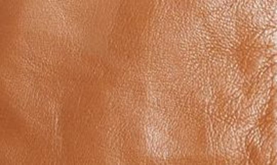 Sam Edelman Leather Moto Jacket In Cognac