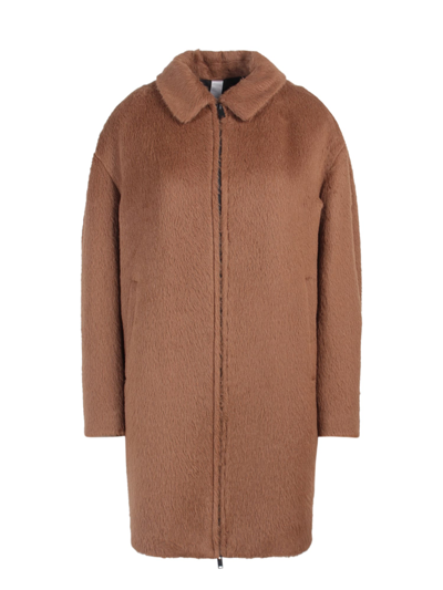 Shop Hevo Mottola Coat In Brown