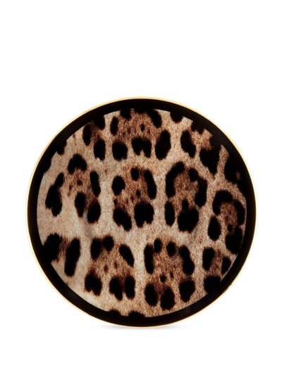 Shop Dolce & Gabbana Leopard-print Porcelain Espresso Set In Black