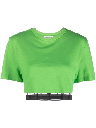 Shop Alexander Mcqueen Corset Cropped T-shirt In Green