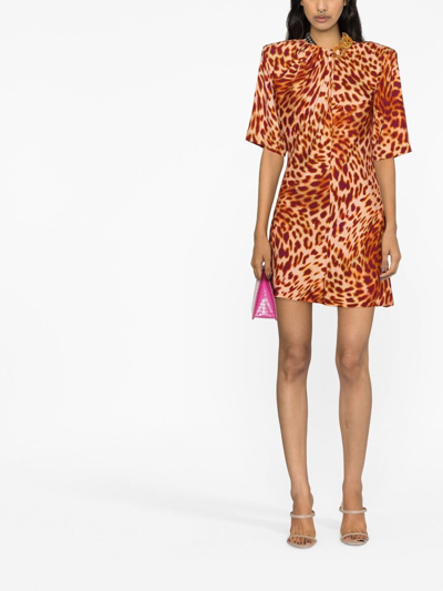 Shop Stella Mccartney Leopard-print Mini Dress In Pink