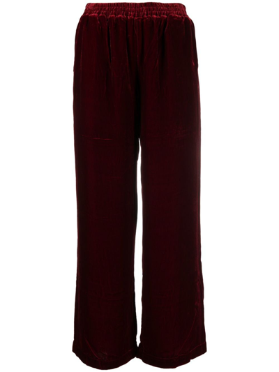 Shop Gold Hawk Straight-leg Velvet Pants In Rot