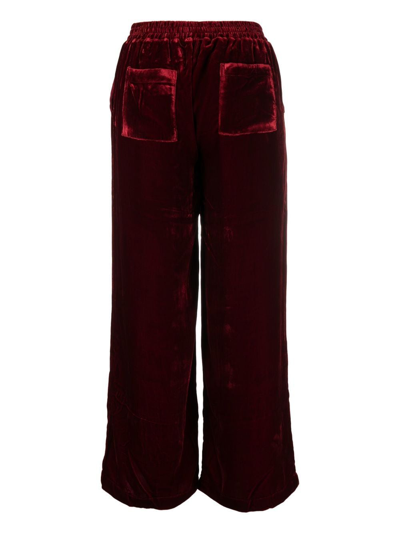 Shop Gold Hawk Straight-leg Velvet Pants In Rot