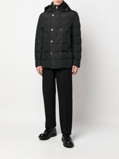 Shop Canali Feather Down Hooded Coat In Schwarz