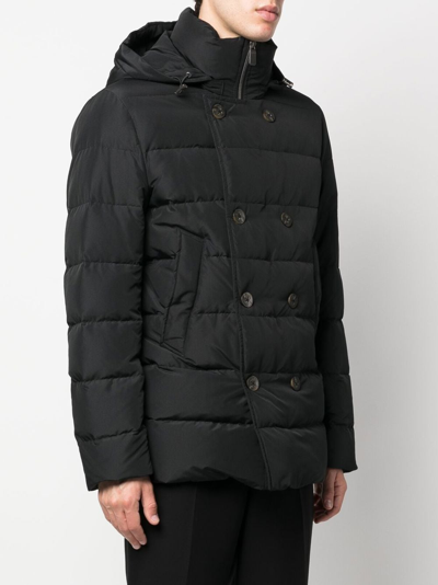 Shop Canali Feather Down Hooded Coat In Schwarz