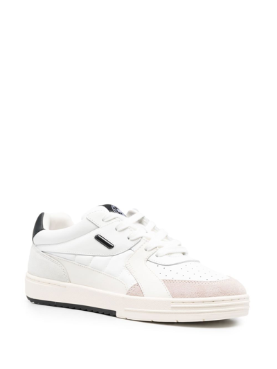 Shop Palm Angels University Lace-up Sneakers In Weiss