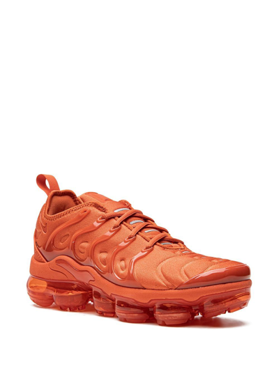 Shop Nike Air Vapormax Plus Sneakers In Orange