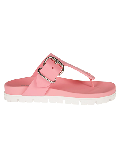Prada Side Buckled Slippers In Pink | ModeSens