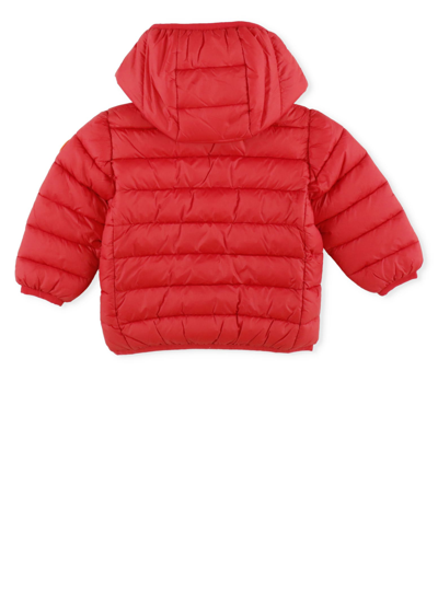 Shop Save The Duck Giga Padded Jacket In Tango Red