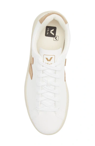 Shop Veja Urca Cwl Sneaker In White Miel