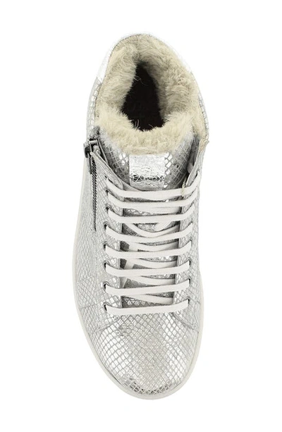 Shop Strive Chatsworth Ii Sneaker In Silver Chic